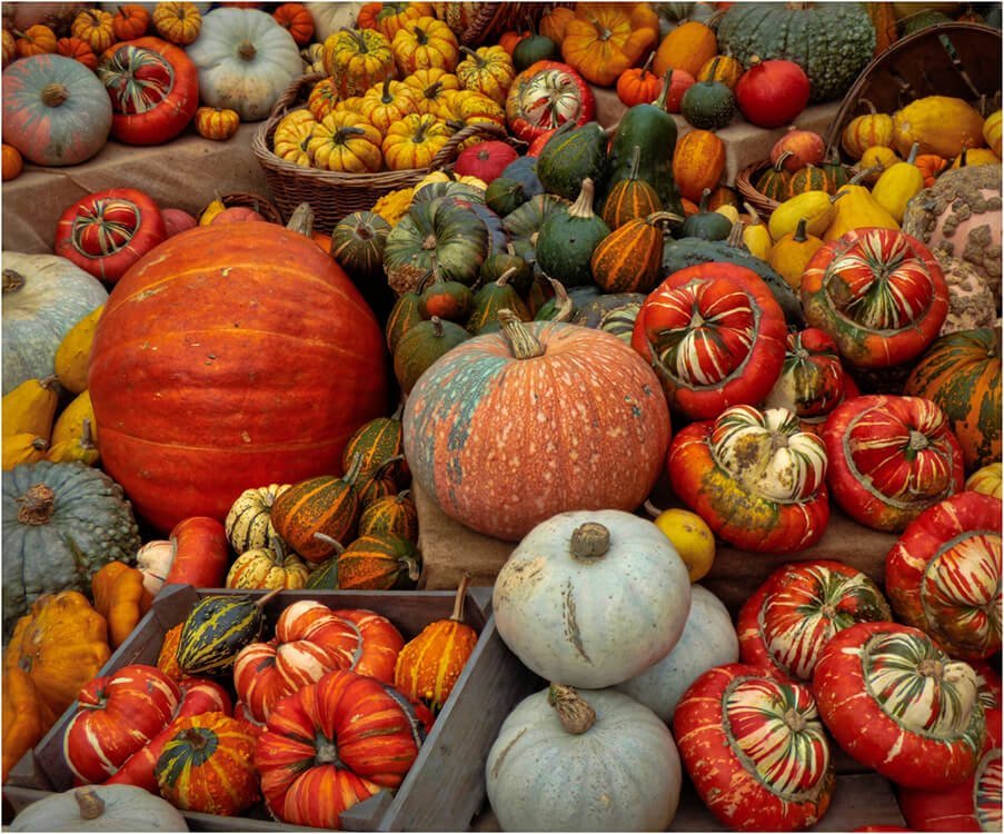 Photocraft Camera Club - Autumn Harvest by Gillian M