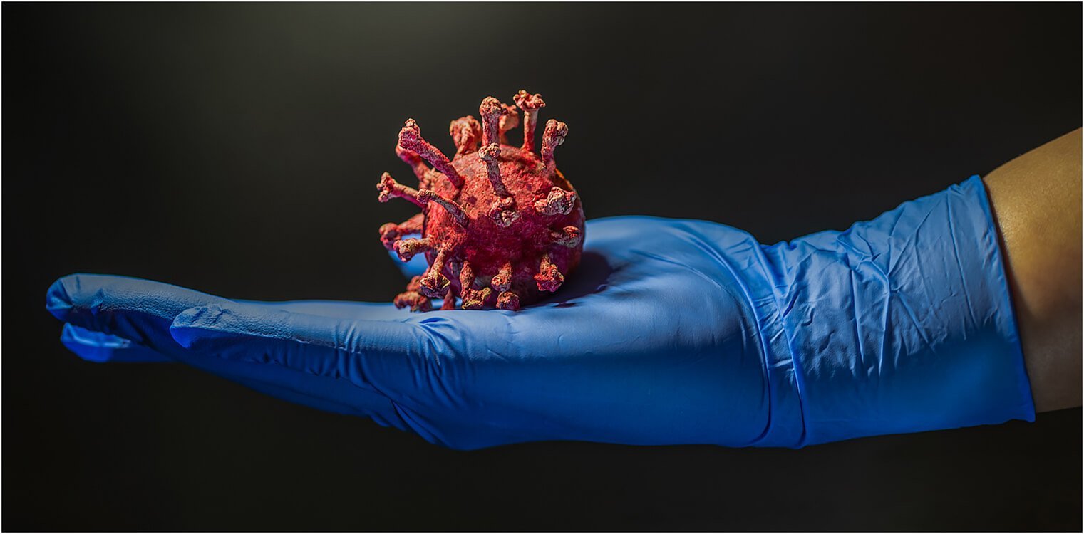 Photocraft Camera Club - Coronavirus model by Roshan R