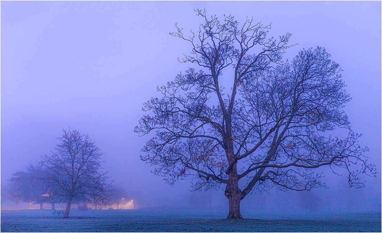 Photocraft Camera Club - Little and Large by Brian C