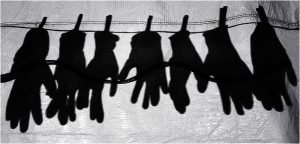 Photocraft Camera Club - You Need Hands by Brian C