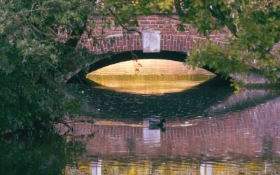 Photo Walk – Carshalton Town Centre – Members’ Evening